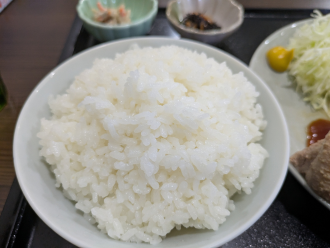 豚オタの大盛りご飯