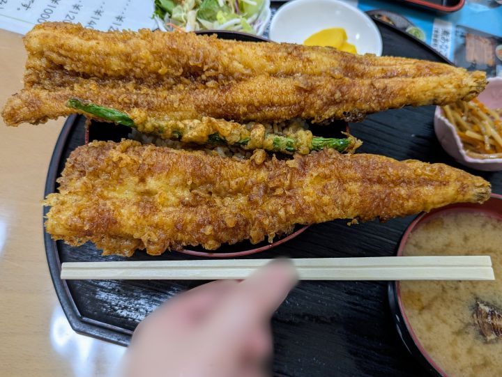 木更津　かもめ食堂　あなご丼