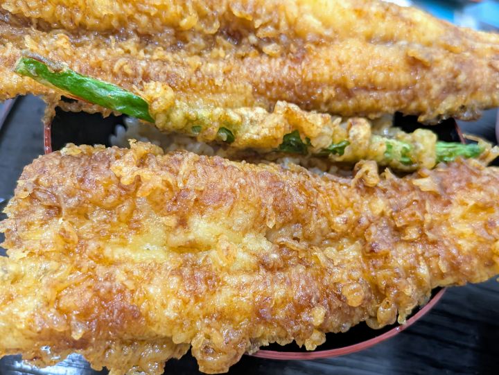 木更津　かもめ食堂　あなご丼