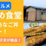 【木更津グルメ】かもめ食堂のあなご丼ランチレビュー！ふっくら穴子天が絶品！