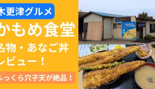 【木更津グルメ】かもめ食堂のあなご丼ランチレビュー！ふっくら穴子天が絶品！