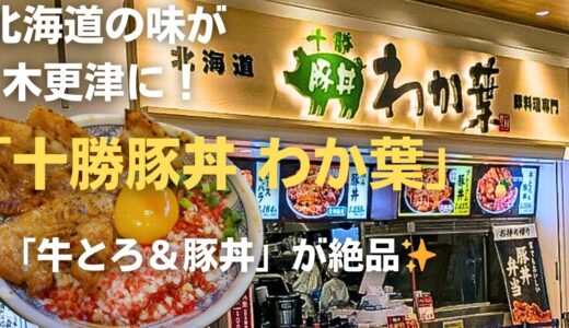 【木更津アウトレット】十勝豚丼わか葉で「牛とろ＆豚丼」を実食レビュー！北海道の味をフードコートで堪能✨