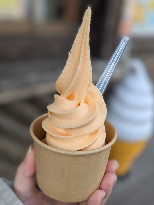 千葉名物の爽やかな風味が広がる、デザートにぴったりのびわソフトクリーム