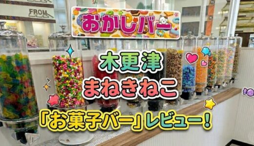 まねきねこ木更津店はお菓子バー実施店舗！料金や種類を徹底レビュー