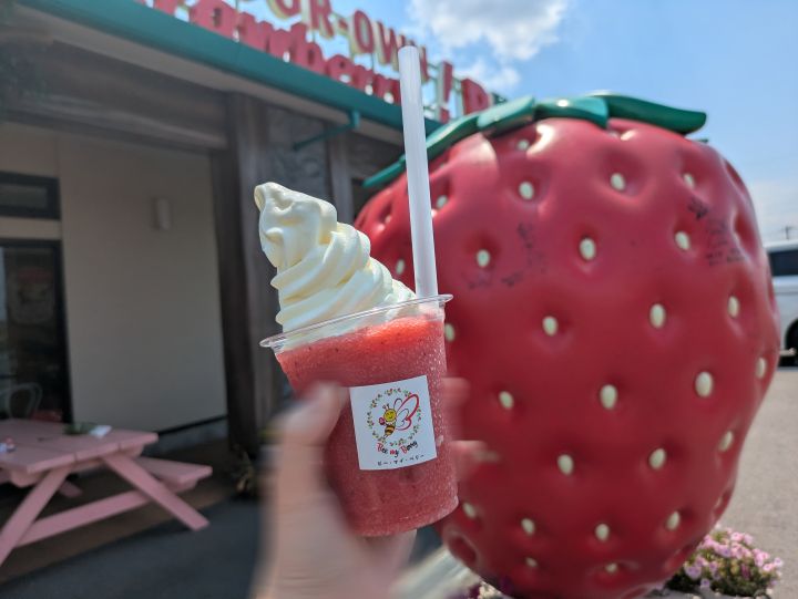 ソフトクリームいちごのグラニータ