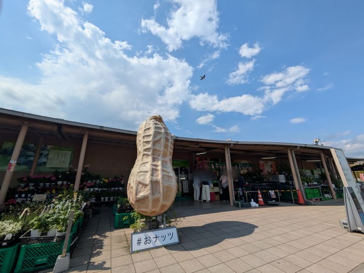 うまくたの里の巨大なナッツのオブジェ
