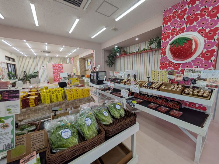 ショップで販売されている地元の野菜やお土産品
