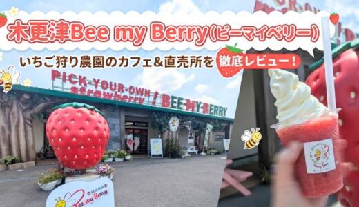 木更津Bee my Berry｜いちご狩り農園のカフェ＆直売所を徹底レビュー！