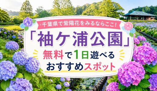 千葉県で紫陽花を満喫！袖ケ浦公園は無料で1日遊べるおすすめスポット