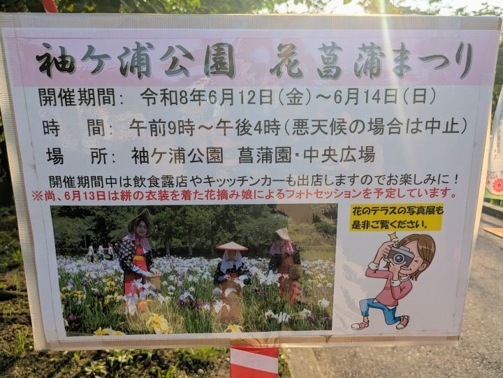 袖ケ浦公園花菖蒲まつり案内