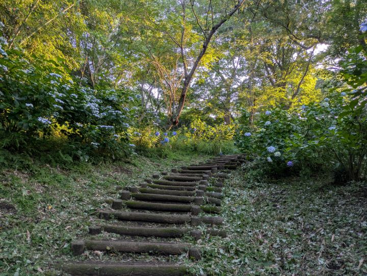 袖ケ浦公園の展望台まで続く階段