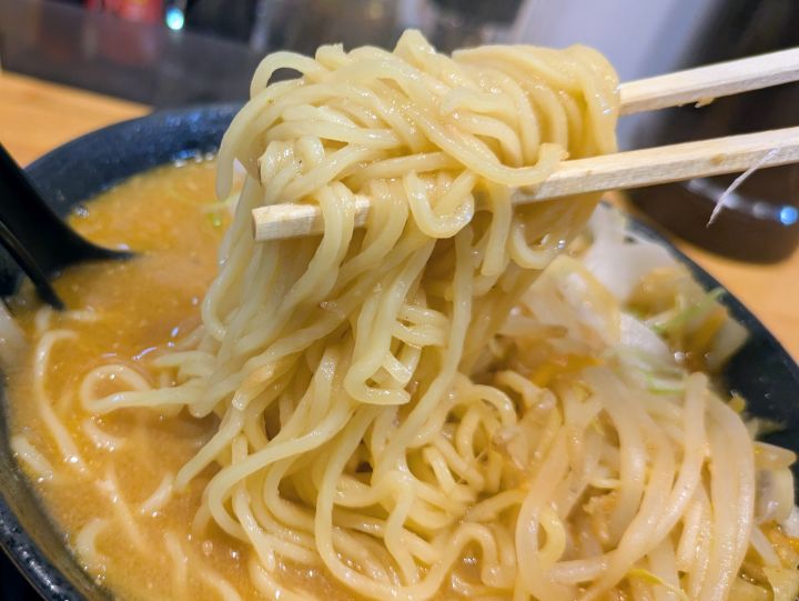 木更津ラーメン大輝の味噌ラーメンの麺を箸で持ち上げた様子